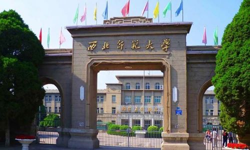 摩登7官方网站图片